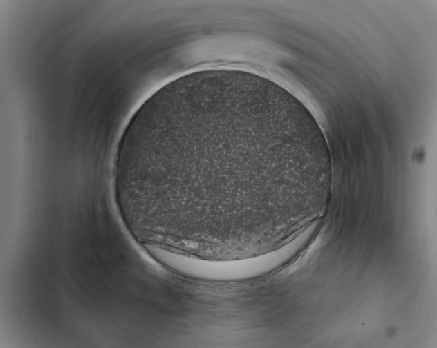 X0000102351533200808291149