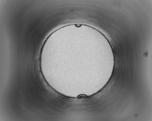 X0000102351534200808291149