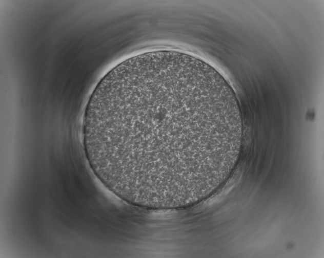 X0000102351535200808291149