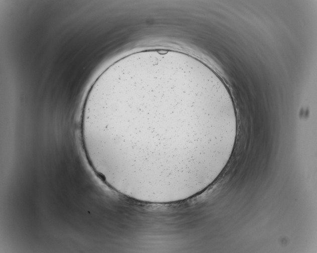 X0000102351536200808291149