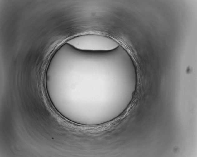 X0000102360001200808011011