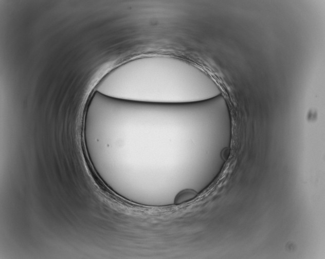 X0000102360003200808011010