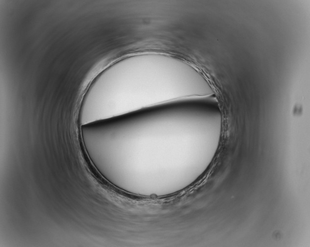 X0000102360004200808011010