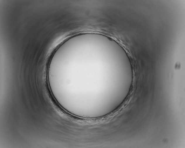 X0000102360005200808011010