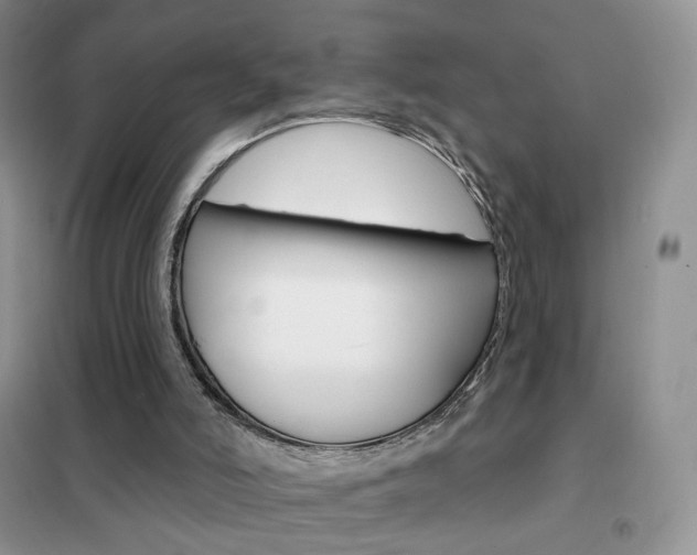 X0000102360006200808011010