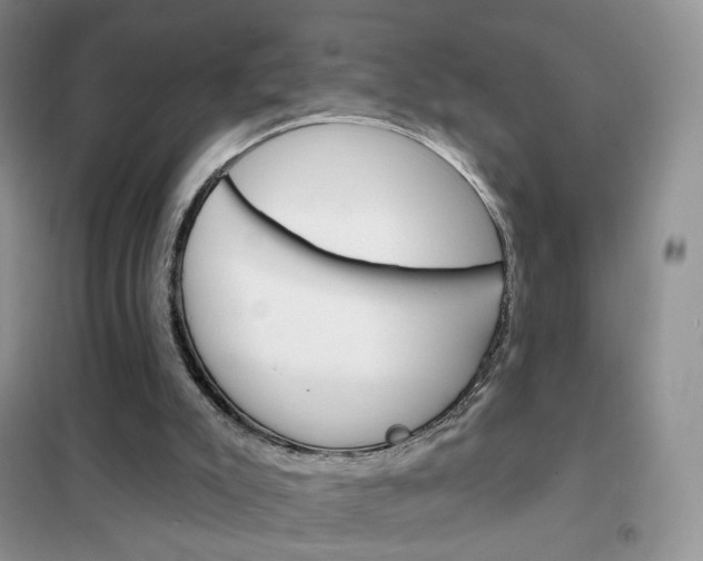 X0000102360007200808011010