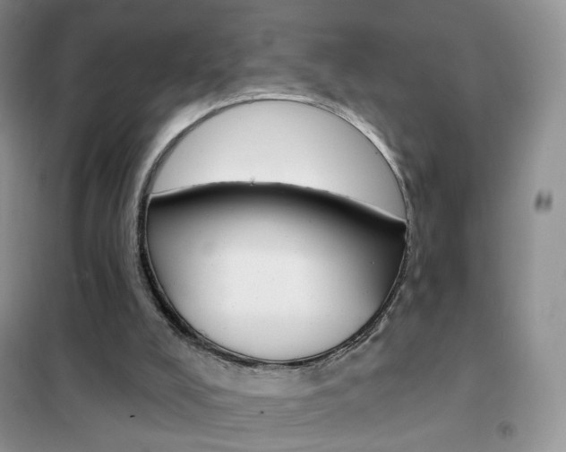 X0000102360008200808011010