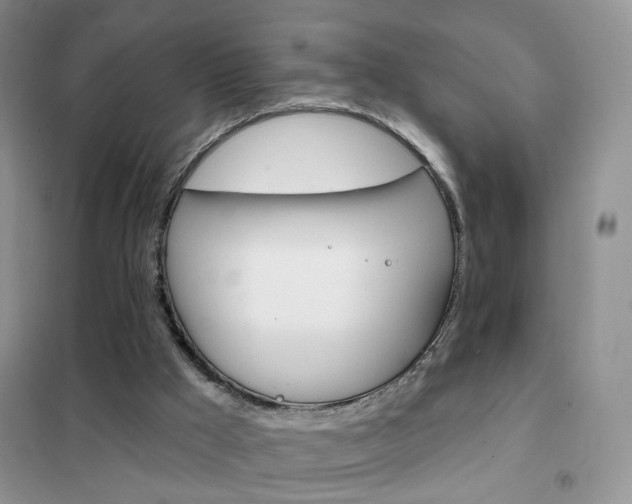X0000102360009200808011010