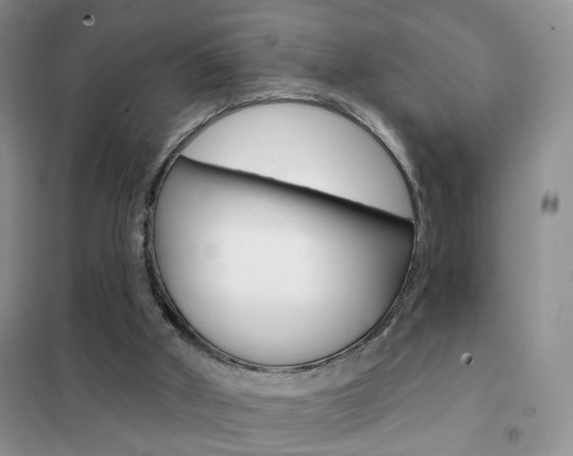 X0000102360010200808011010