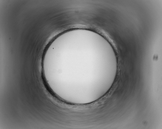 X0000102360011200808011010