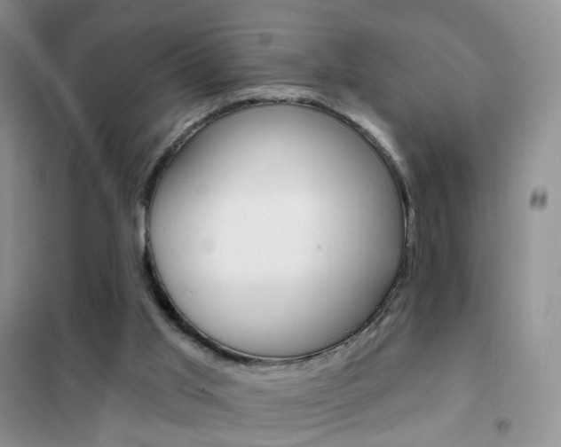 X0000102360013200808011010