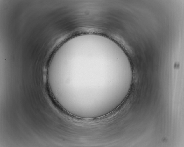 X0000102360014200808011010