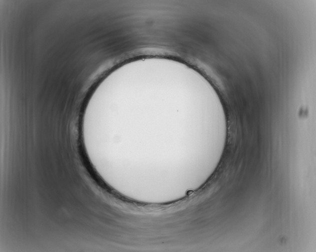 X0000102360015200808011010
