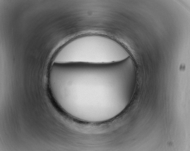 X0000102360016200808011010
