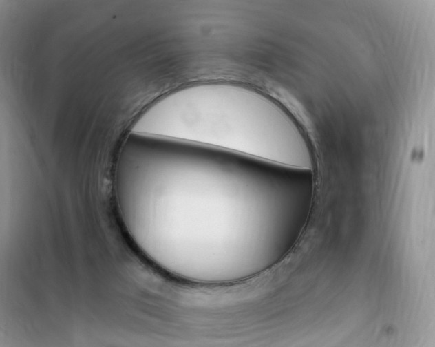 X0000102360017200808011010