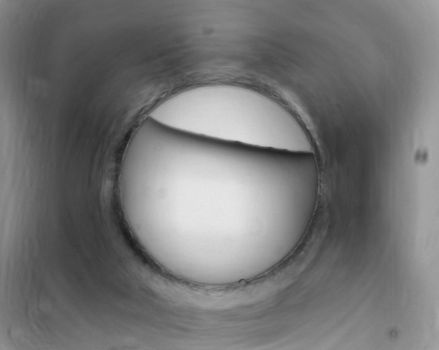 X0000102360018200808011010