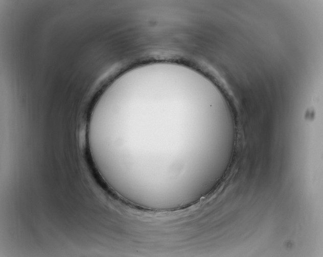X0000102360019200808011010