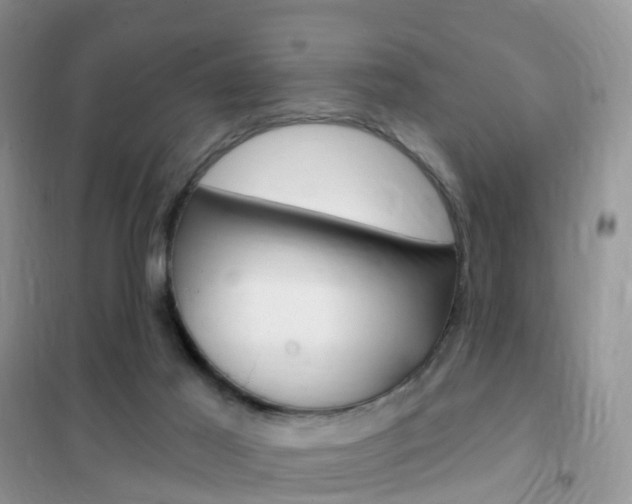 X0000102360021200808011010