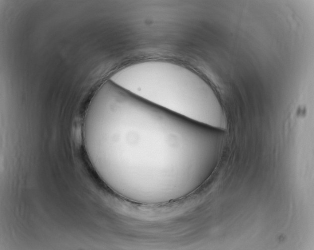 X0000102360022200808011010