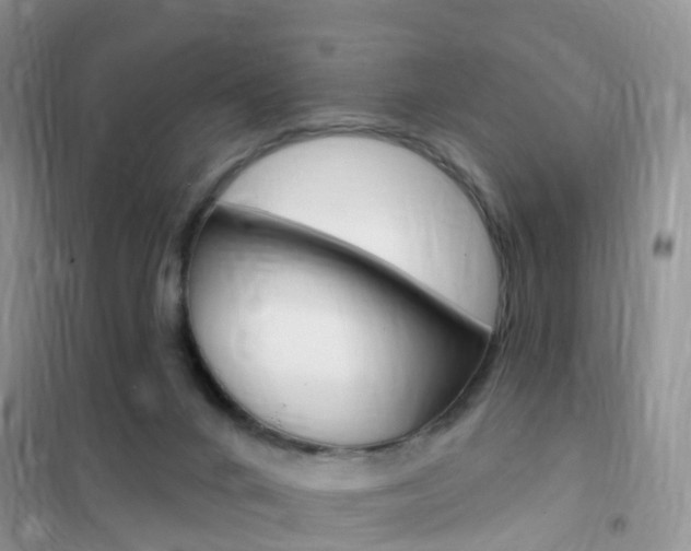 X0000102360024200808011010