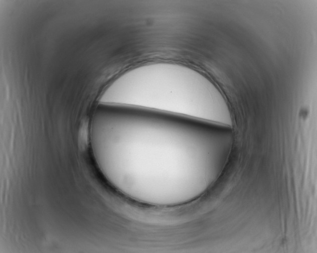 X0000102360028200808011010