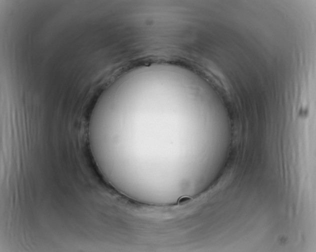 X0000102360029200808011010