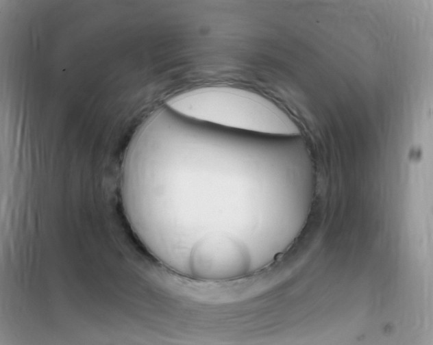X0000102360030200808011010
