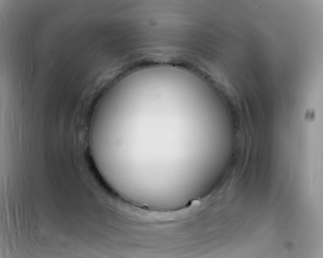 X0000102360031200808011010