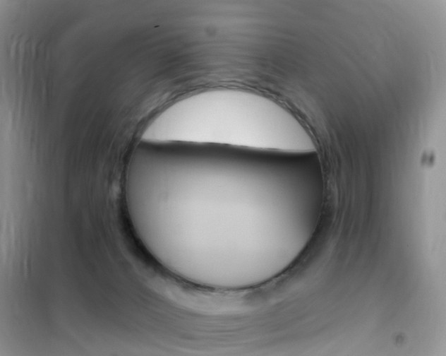 X0000102360032200808011010