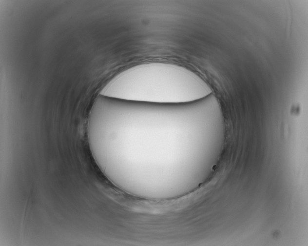X0000102360033200808011010