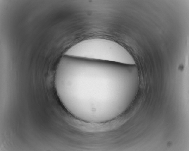 X0000102360034200808011010