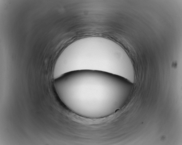 X0000102360035200808011010