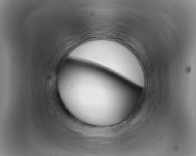 X0000102360036200808011010