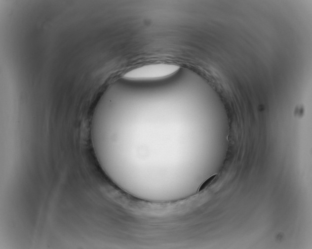 X0000102360037200808011010