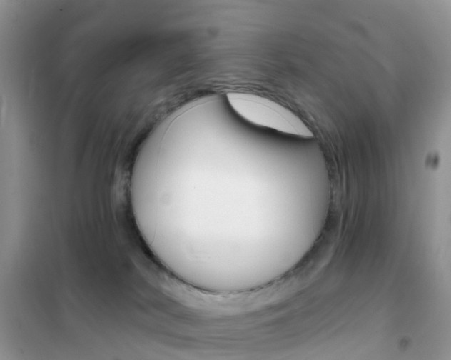 X0000102360038200808011010