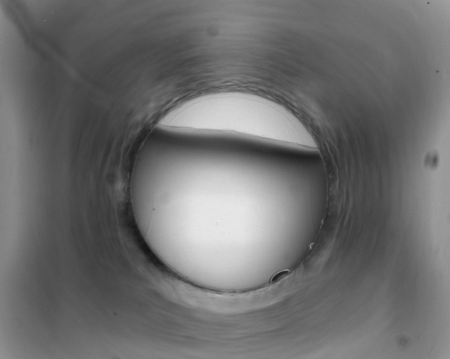 X0000102360039200808011010