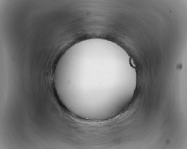 X0000102360040200808011010