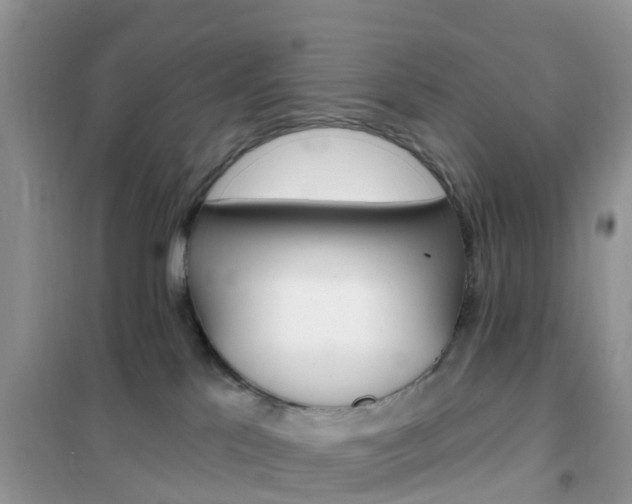 X0000102360041200808011010