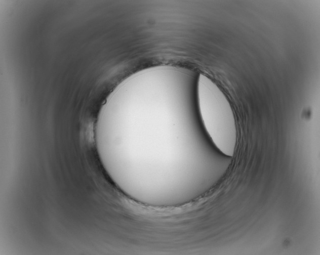 X0000102360042200808011010