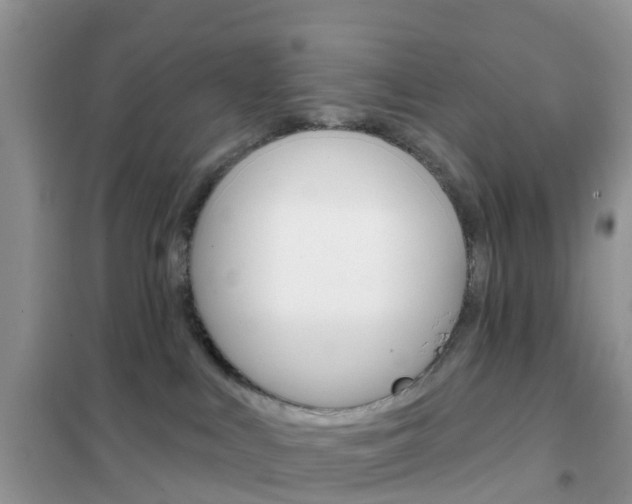 X0000102360043200808011010