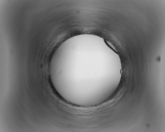 X0000102360044200808011010