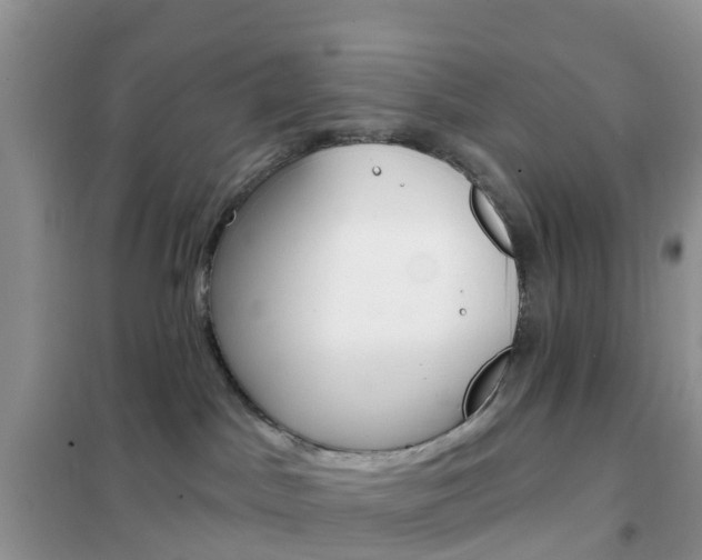 X0000102360045200808011010