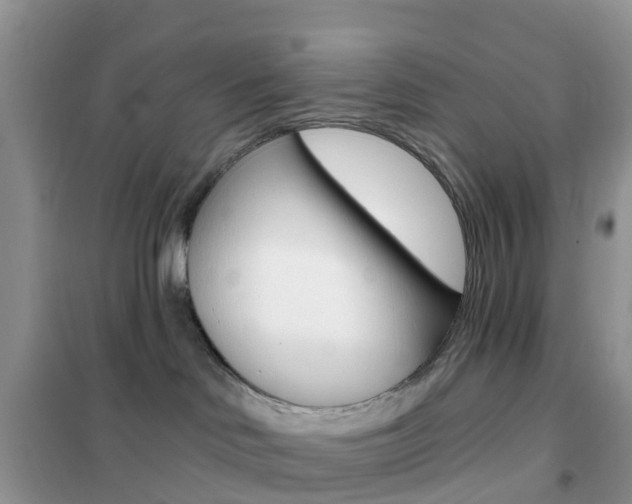 X0000102360046200808011010