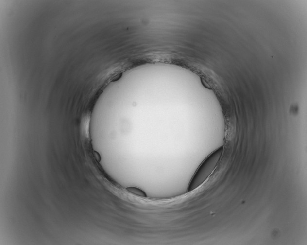 X0000102360047200808011010