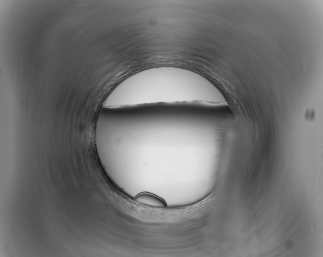 X0000102360048200808011010