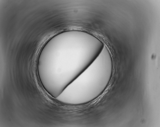 X0000102360049200808011009