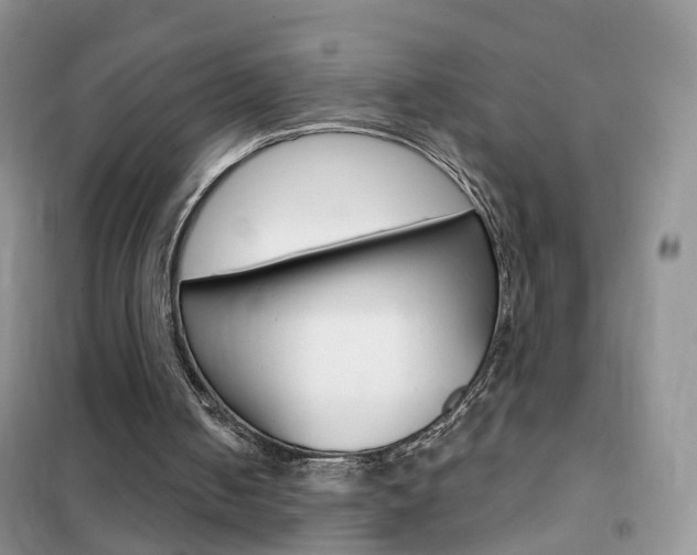 X0000102360050200808011009