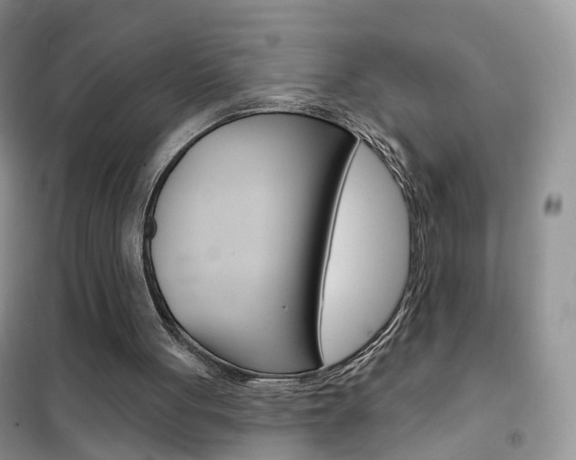 X0000102360051200808011009