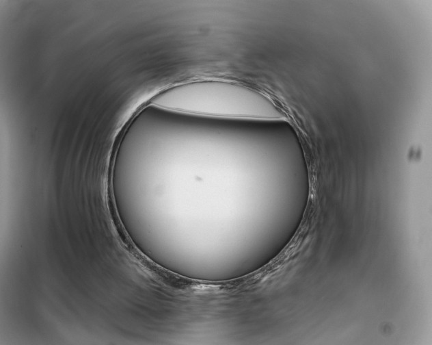 X0000102360052200808011009
