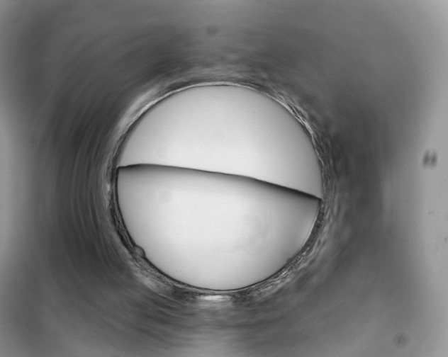 X0000102360053200808011009